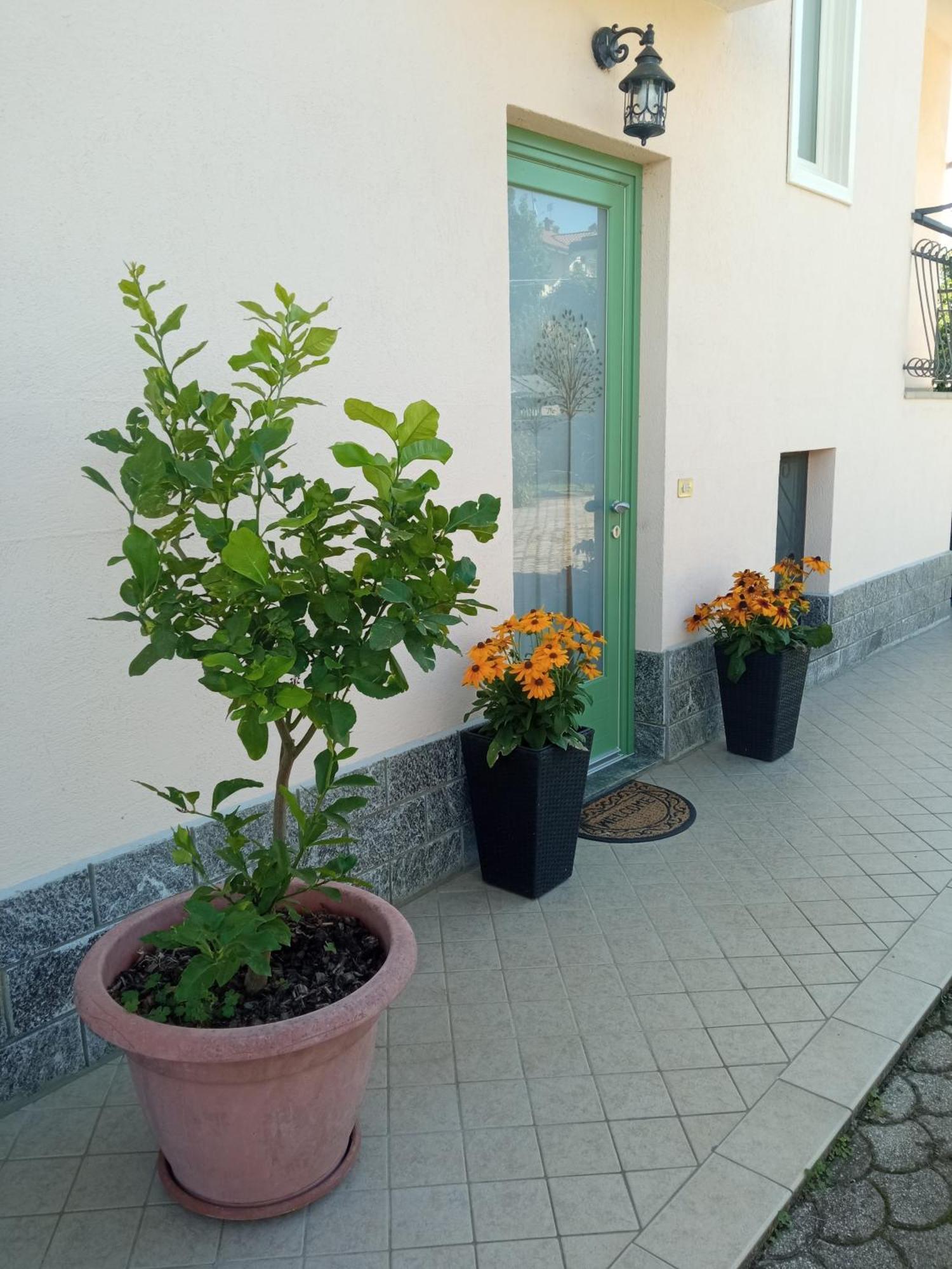 B&B L'Ortensia Vignolo Ngoại thất bức ảnh